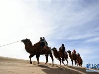  一带一路·好风光|敦煌鸣沙山上体验大漠驼队