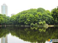 【醉美邵阳】明媚阳光映古城