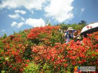 邵阳县河伯岭风光锦绣 乡村旅游如火如荼