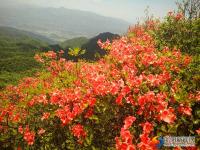 邵阳县河伯岭风光锦绣 乡村旅游如火如荼