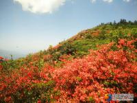 邵阳县河伯岭风光锦绣 乡村旅游如火如荼