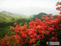 邵阳县河伯岭风光锦绣 乡村旅游如火如荼
