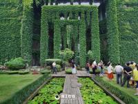  楼体穿绿装变成“空调房” 盘点各地“绿色童话王国”