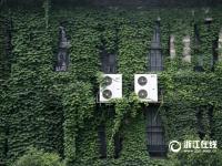  楼体穿绿装变成“空调房” 盘点各地“绿色童话王国”