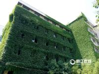  楼体穿绿装变成“空调房” 盘点各地“绿色童话王国”