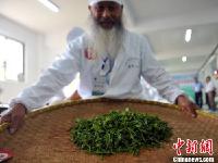 江西近60名制茶高手比拼茶叶制作技艺