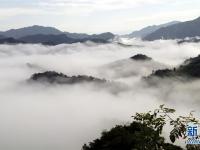  雨后云海如画