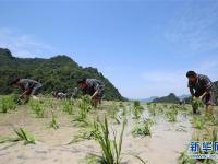  湖南张家界：农耕民俗闹端午