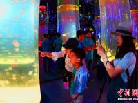  全国最大单体水母馆亮相成都
