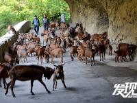陕南：挂在悬崖峭壁上的千米“之”字形公路