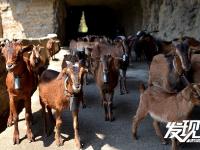 陕南：挂在悬崖峭壁上的千米“之”字形公路