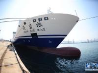  中国造大型客箱船“海蓝鲸”号将投入中韩航线运营