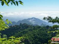  “道源圣地”崆峒山夏日云海烟波浩渺