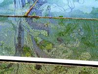  辽宁沈阳“3D稻田画”进入观赏期