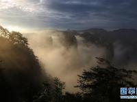  云海漫步峰林间