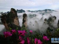  云海漫步峰林间