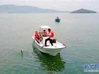  海上度夏觅清爽