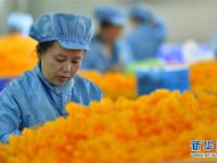  乡村“微玩具”促农增收