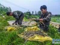  浙江湖州：新型生态农业促农民增收