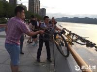  一辆小黄车引发的思考