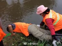 垃圾桶被人抛下河里 环卫工人冒险打捞