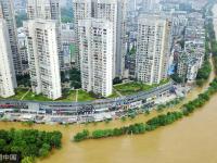 广西柳州半月三次被淹 市民撒网捕鱼