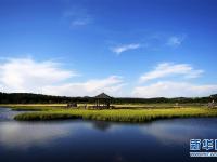  塞罕坝美景醉游人