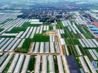 河北馆陶：特色小镇助推精准扶贫