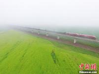 动车穿越祁连山下雨雾油菜花海