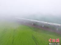 动车穿越祁连山下雨雾油菜花海