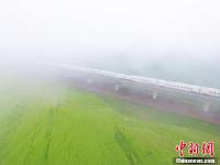 动车穿越祁连山下雨雾油菜花海