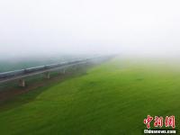 动车穿越祁连山下雨雾油菜花海