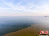鄱阳湖江西都昌水域出现“泾渭分明”景观