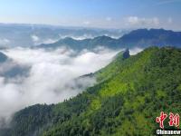 航拍贵州紫云布依族村寨大雾似仙境