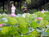  福州：看花观鸟两相宜