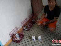 广东警方专项行动收缴万余野生动物