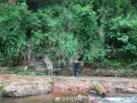 河滩出现“脚印” 竟是一亿年前恐龙足迹