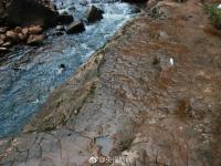 河滩出现“脚印” 竟是一亿年前恐龙足迹