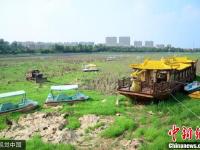 山东潍坊一河流断流 河底变“草原”