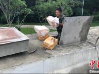 边防从水泥罐车中查获24吨走私冻鸡翅