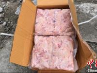 边防从水泥罐车中查获24吨走私冻鸡翅