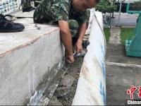 边防从水泥罐车中查获24吨走私冻鸡翅