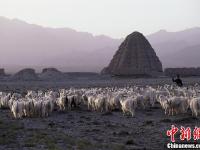领略宁夏风光 展现西北魅力