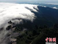  张家界天子山 雨后云海气势磅礴