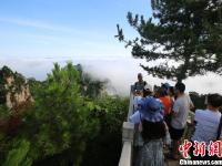  张家界天子山 雨后云海气势磅礴