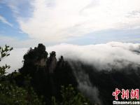  张家界天子山 雨后云海气势磅礴
