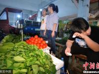 重庆12个孩子暑假组团卖菜 体验生活不易