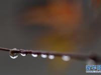 江苏淮安：一场秋雨一场寒