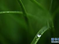  江苏淮安：一场秋雨一场寒