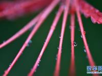  江苏淮安：一场秋雨一场寒